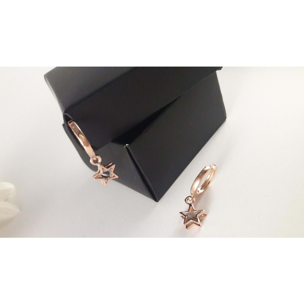 ROSE YILDIZ GÜMÜŞ SET