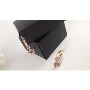 ROSE YILDIZ GÜMÜŞ SET