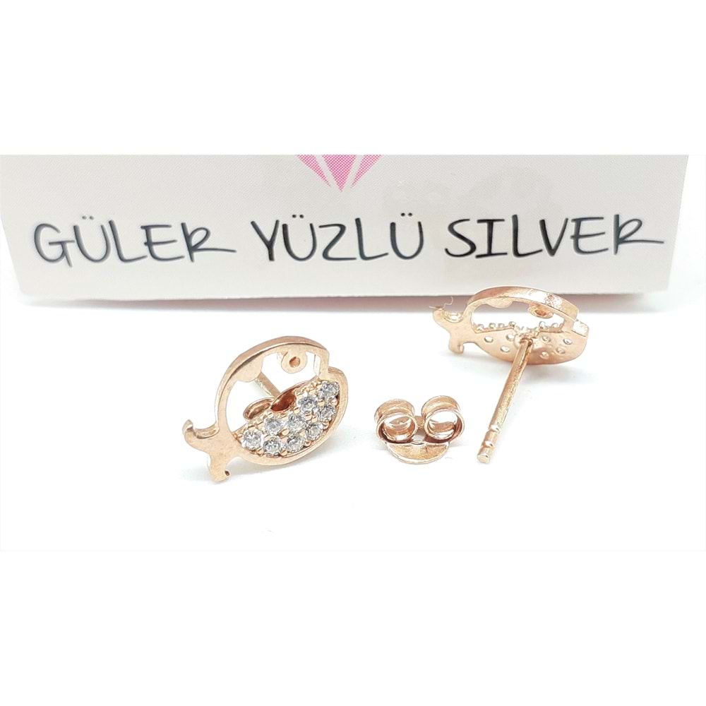 ZİRKON TAŞLI BALIK GÜMÜŞ VİDALI KÜPE