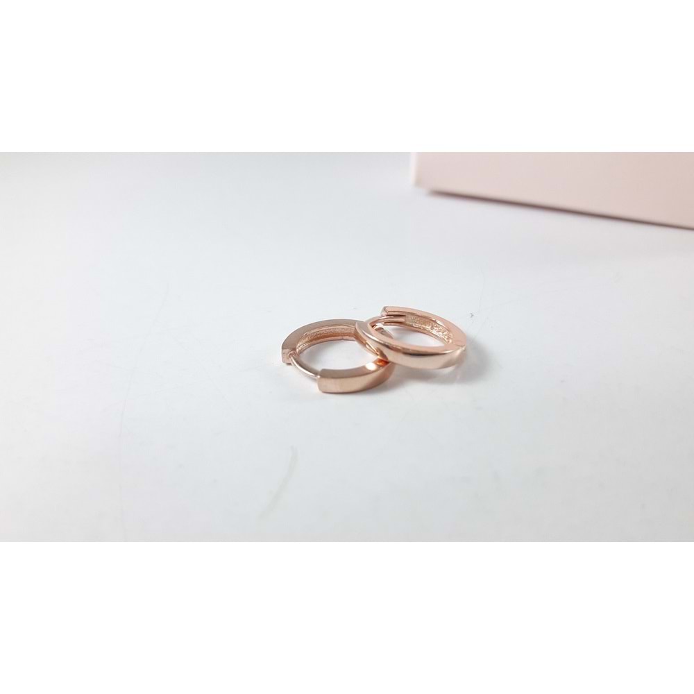 2 MM X 10 MM DÜZ GÜMÜŞ HALKA KÜPE