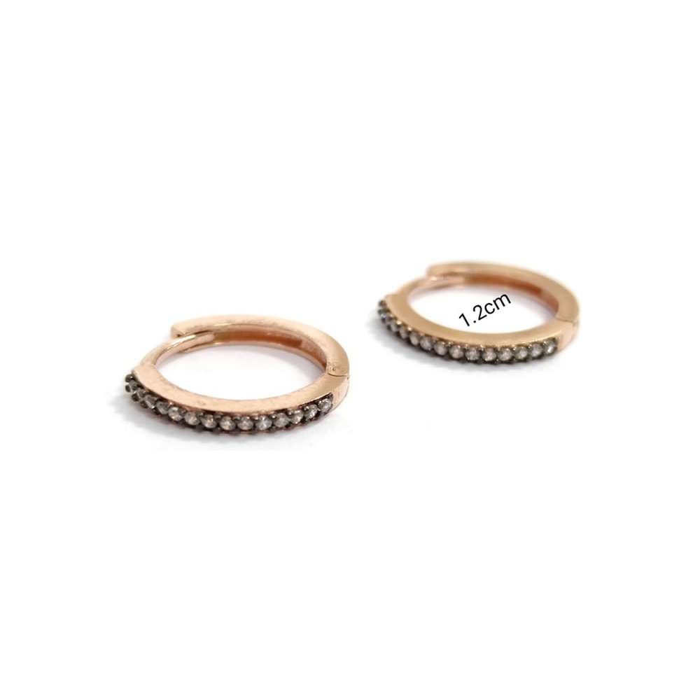 12 MM TEK SIRA ELMAS MONTURLU GÜMÜŞ HALKA KÜPE