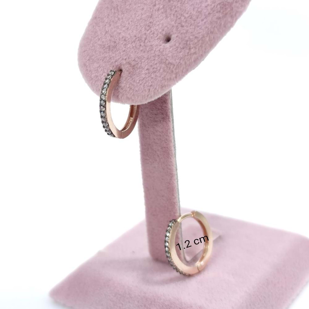 12 MM TEK SIRA ELMAS MONTURLU GÜMÜŞ HALKA KÜPE