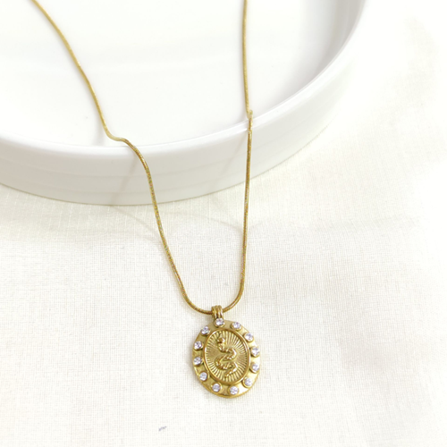 ÇELİK YILAN PLAKA KOLYE 40+5 CM