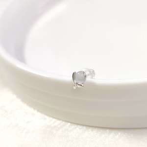 İTHAL 5 MM SEDEF TOP KUYRUK TEKLİ GÜMÜŞ ÇİVİ KÜPE