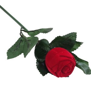 KADİFE SAPLI GÜL YÜZÜK KUTUSU