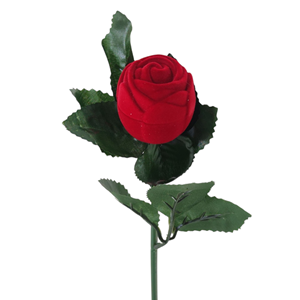 KADİFE SAPLI GÜL YÜZÜK KUTUSU